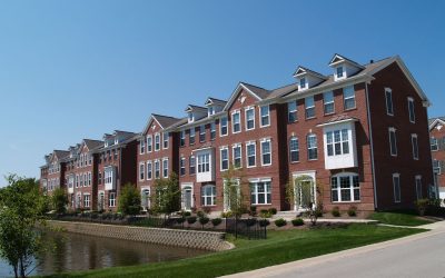Pet-Friendly Apartments Jacksonville, FL: The Best Amenities for You and Your Pets